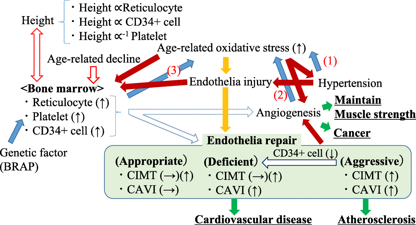 Fig. 5