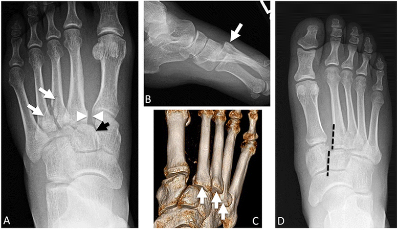 Fig. 5