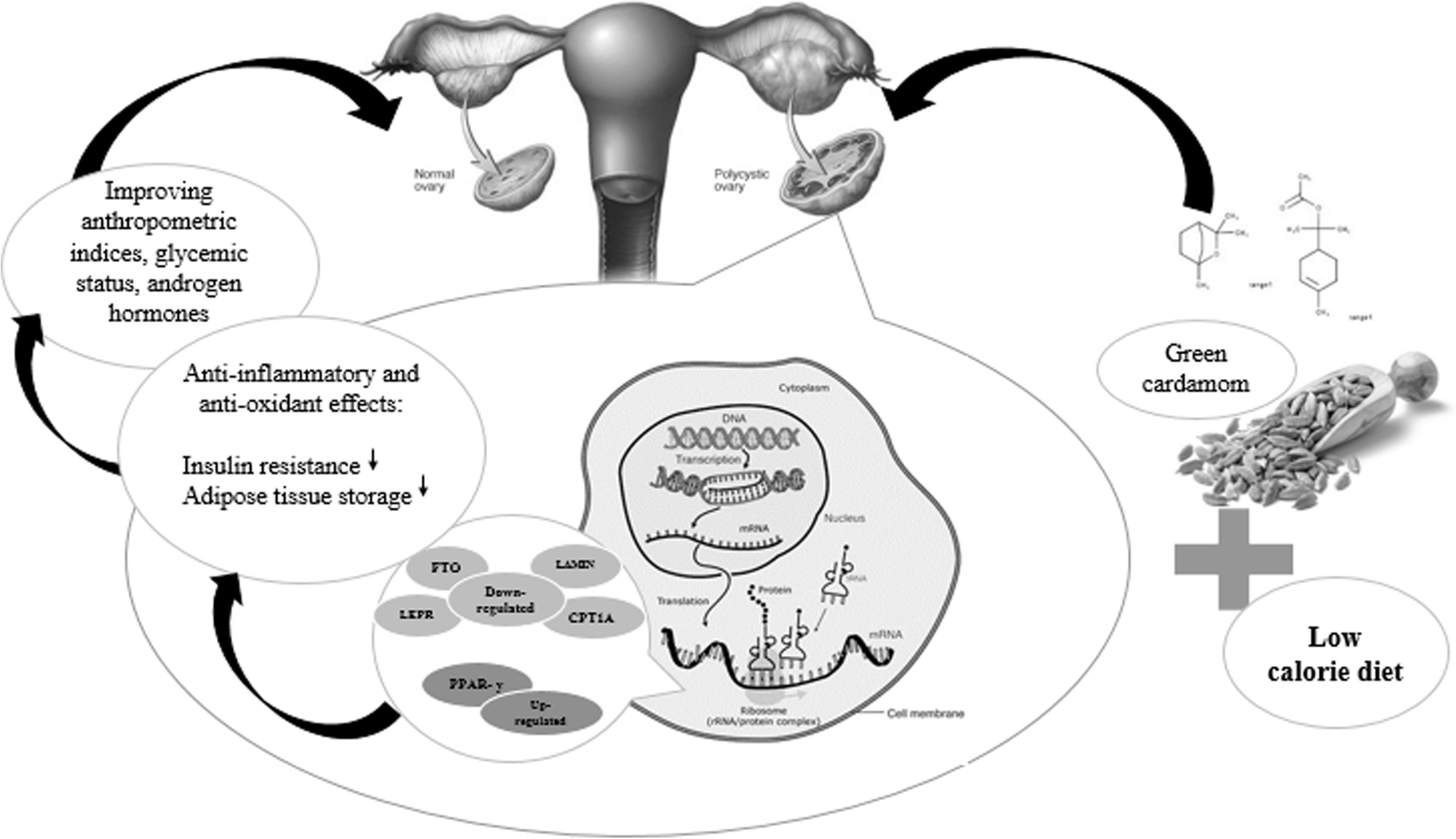 Fig. 3