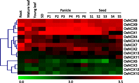 Fig. 7