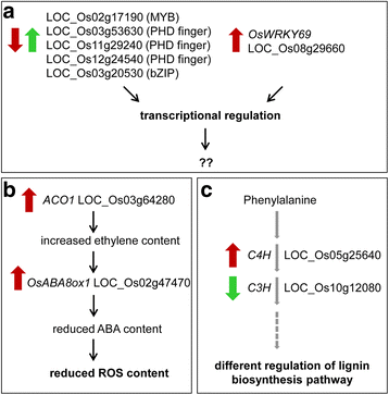 Fig. 8