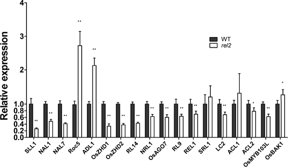 Fig. 9