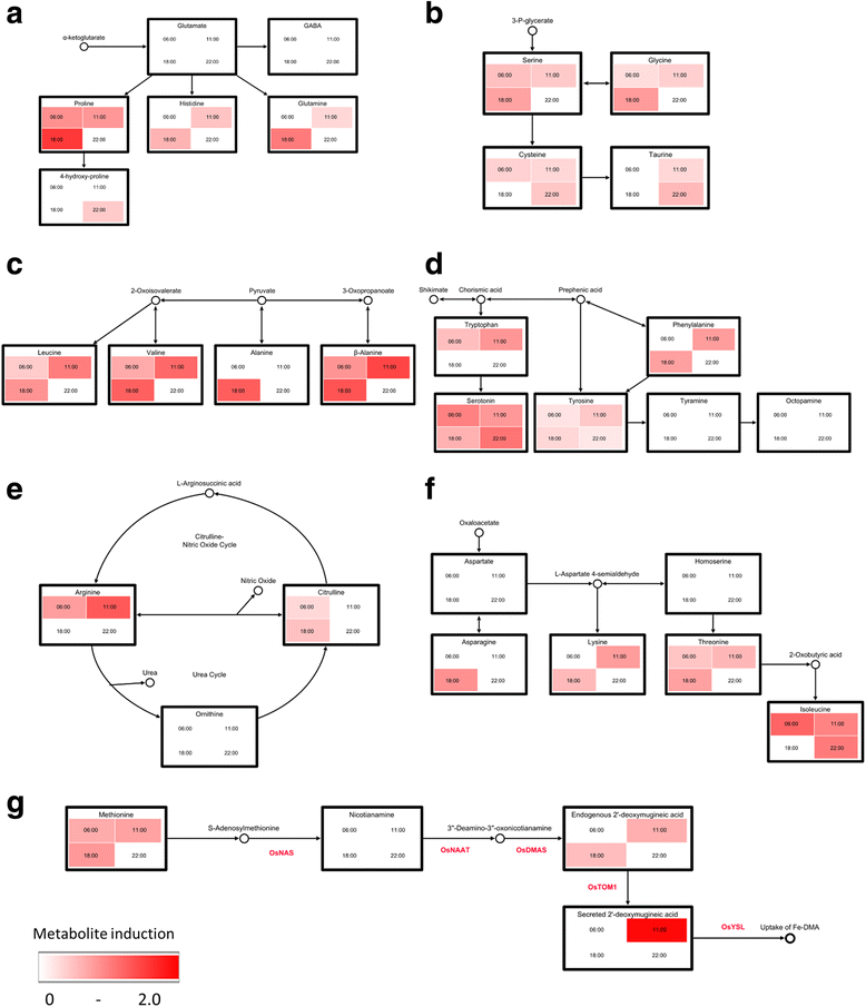 Fig. 5