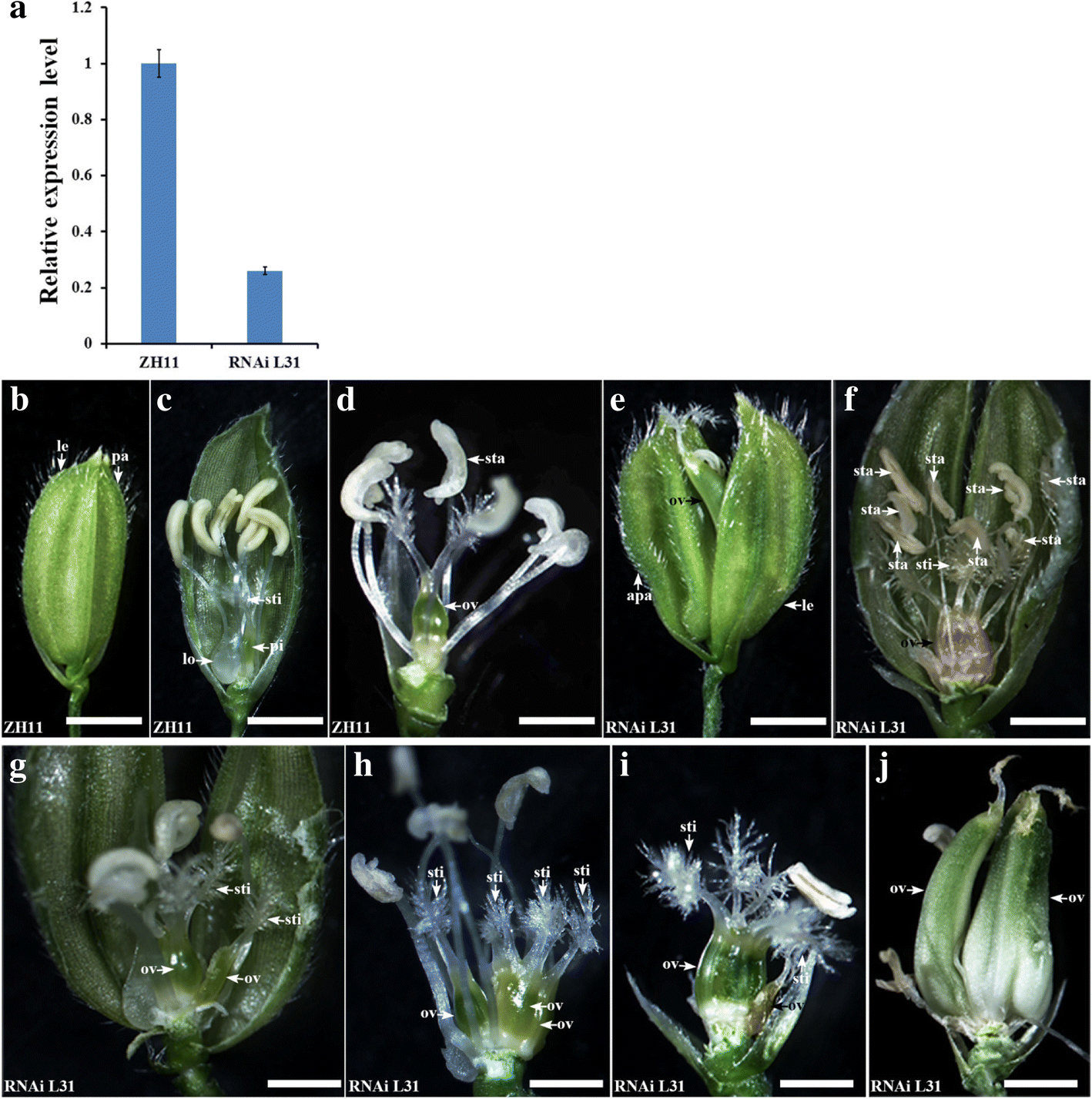 Fig. 4