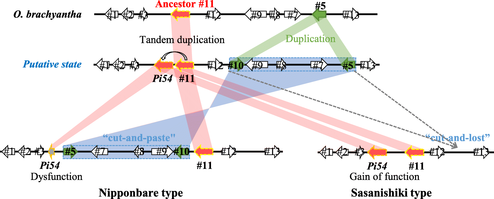 Fig. 7