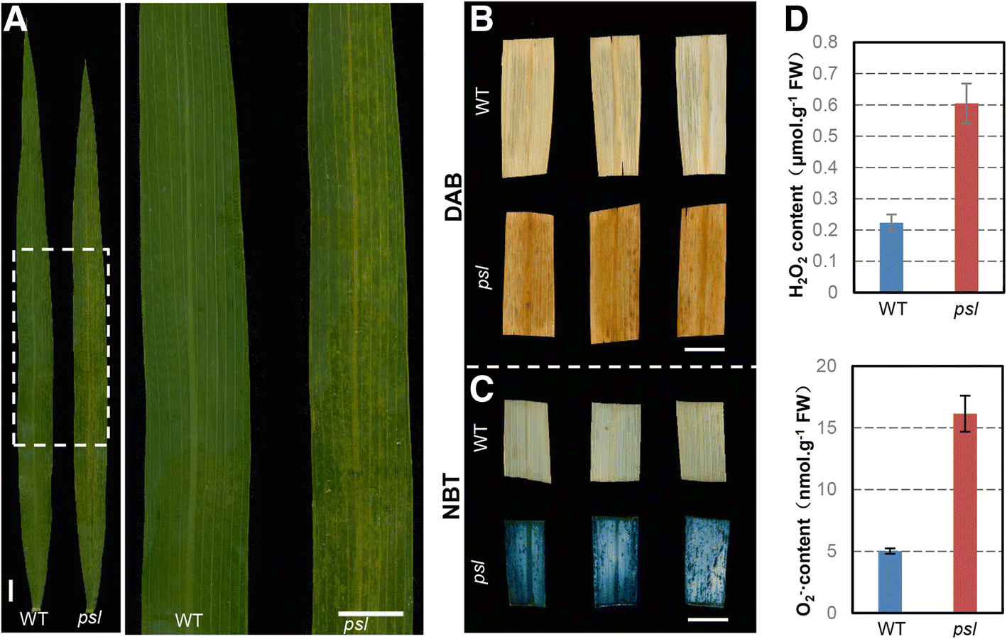 Fig. 2