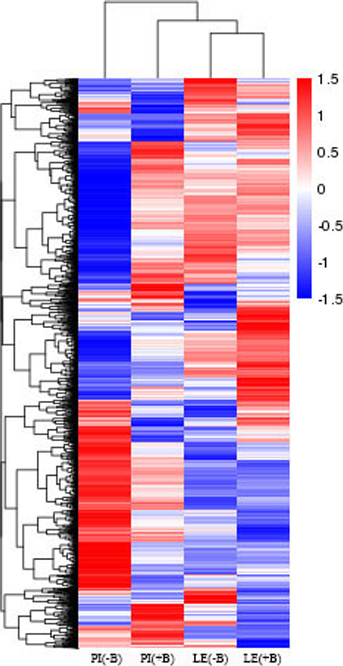 Fig. 2