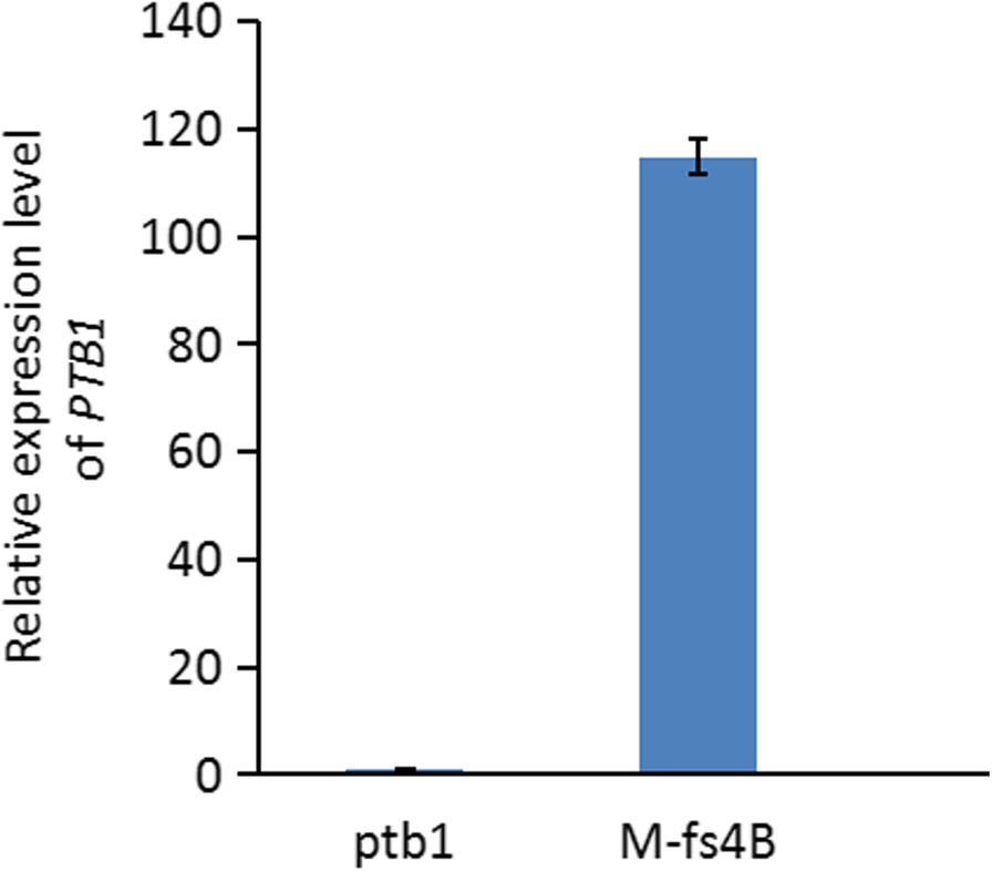 Fig. 4