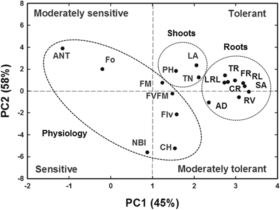 Fig. 7