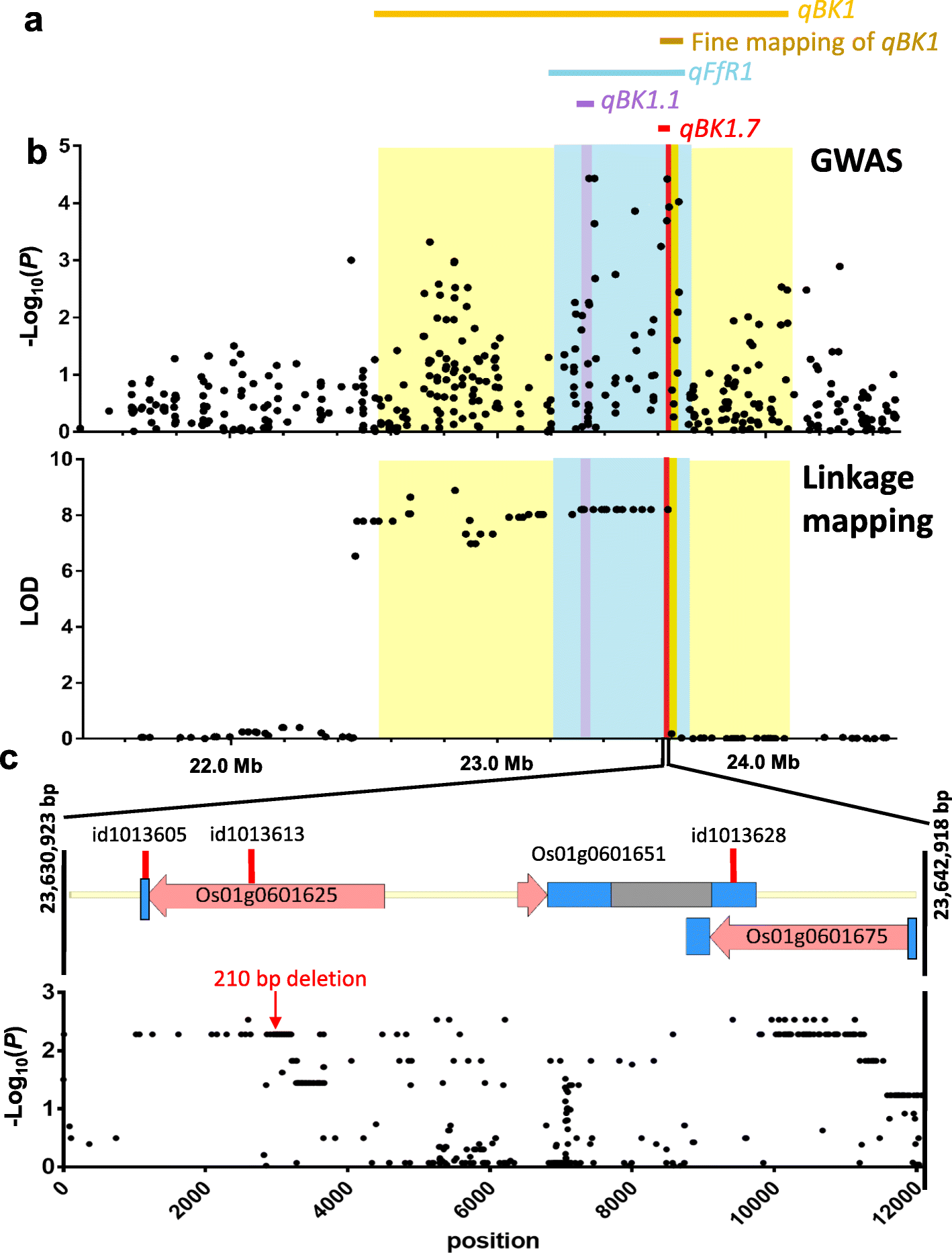 Fig. 5