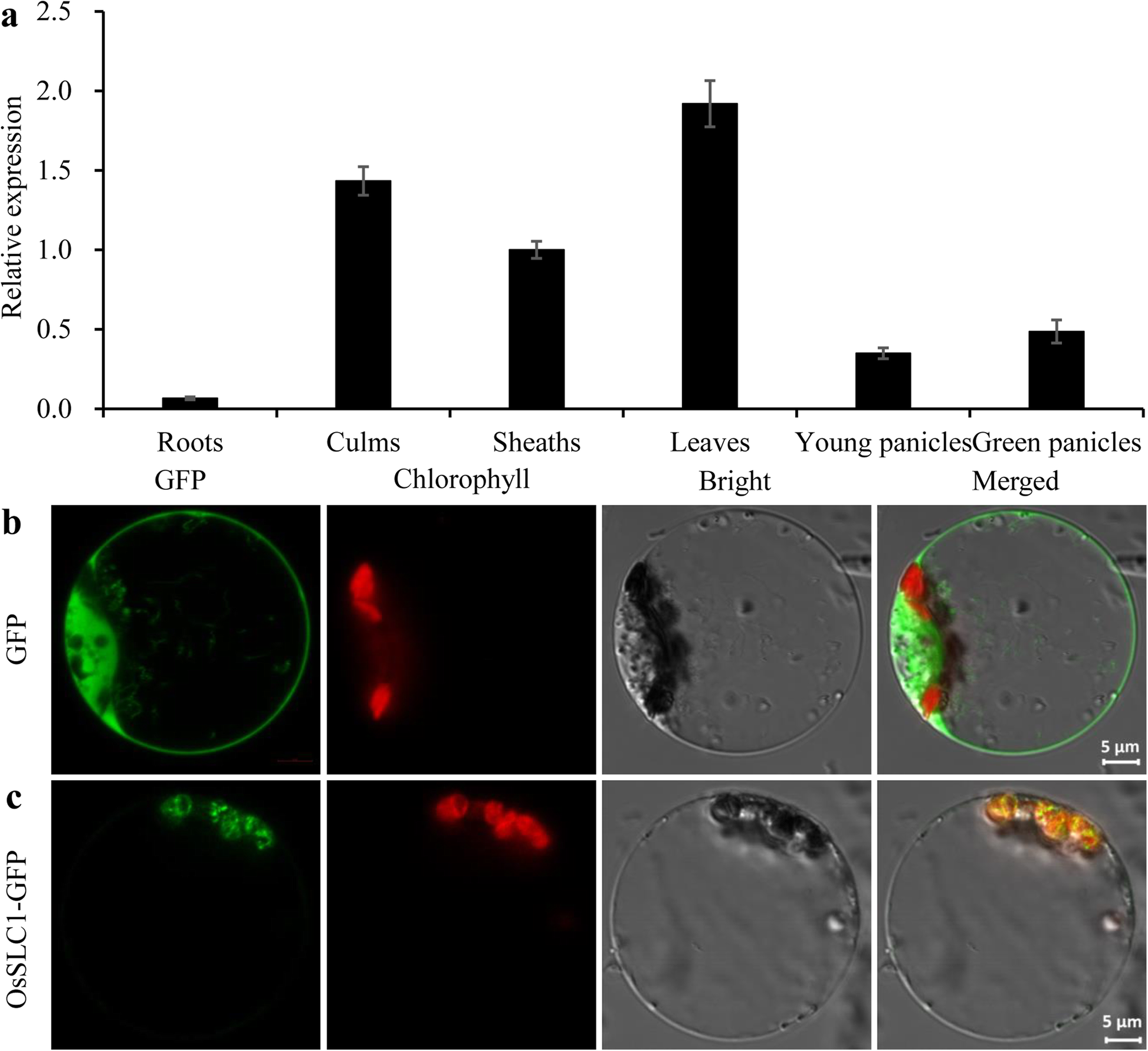 Fig. 4