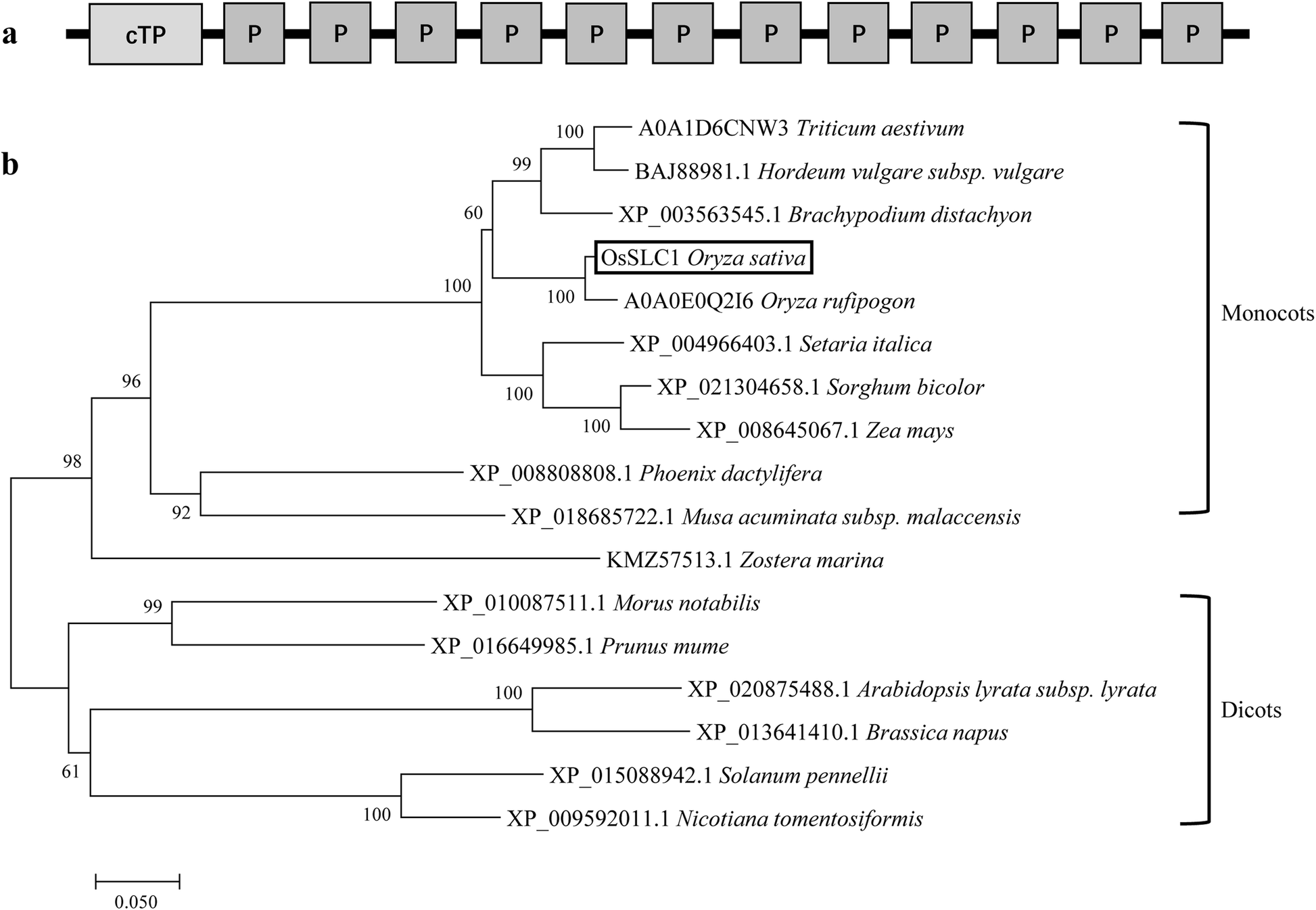 Fig. 5