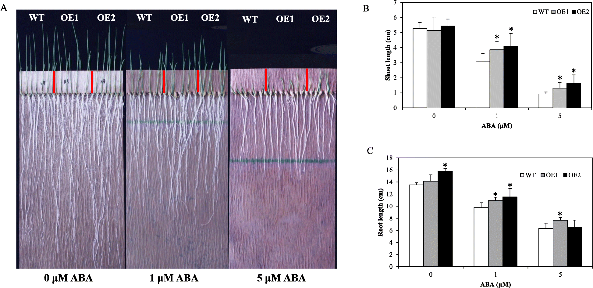 Fig. 7