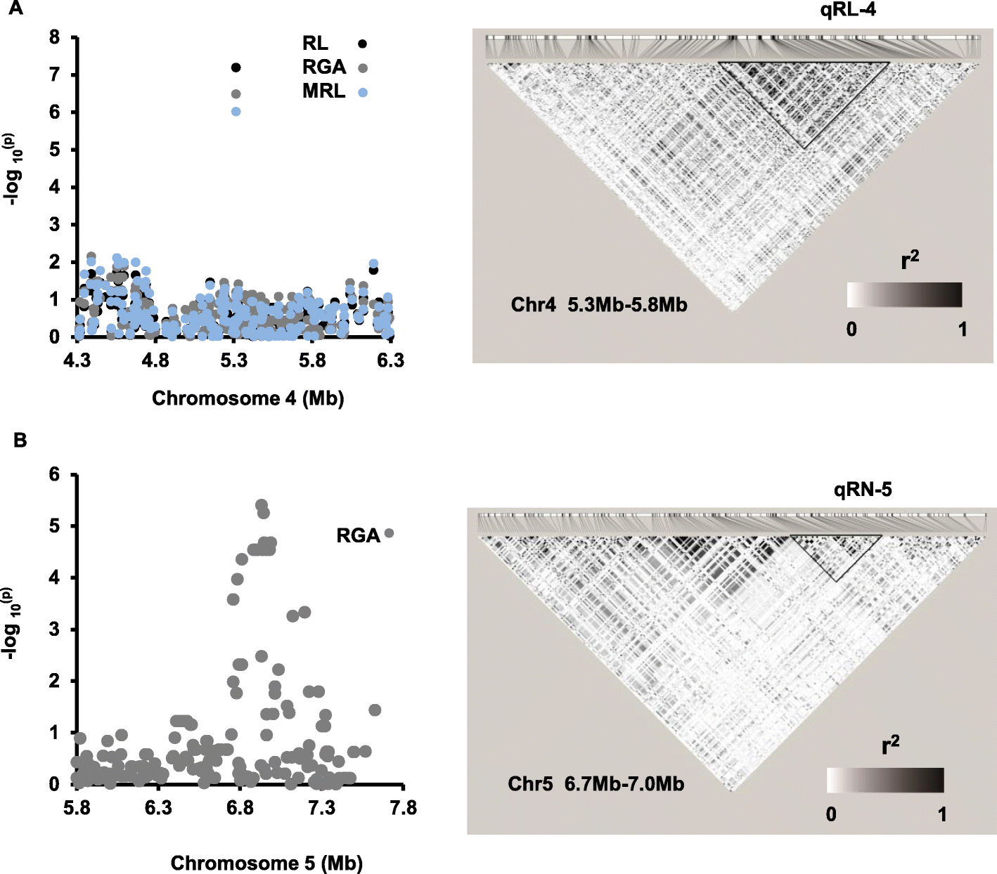 Fig. 5