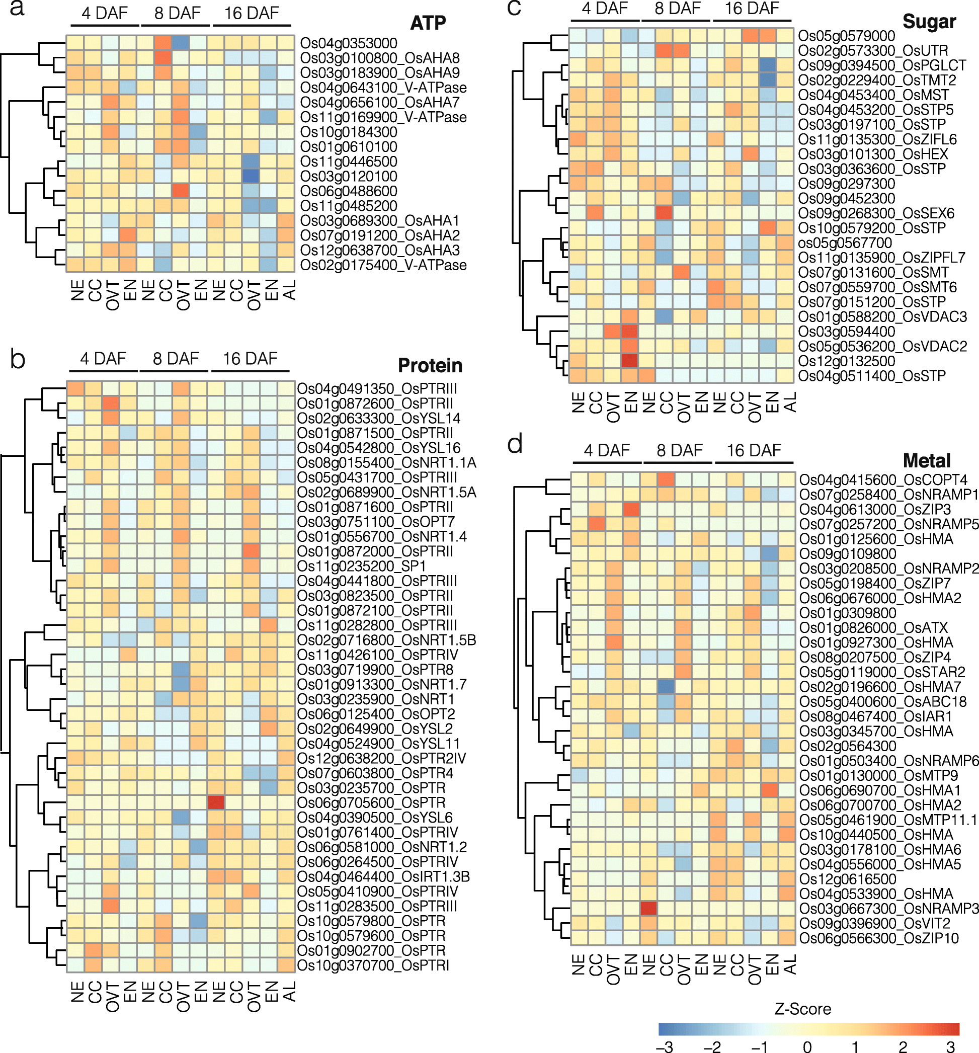 Fig. 6