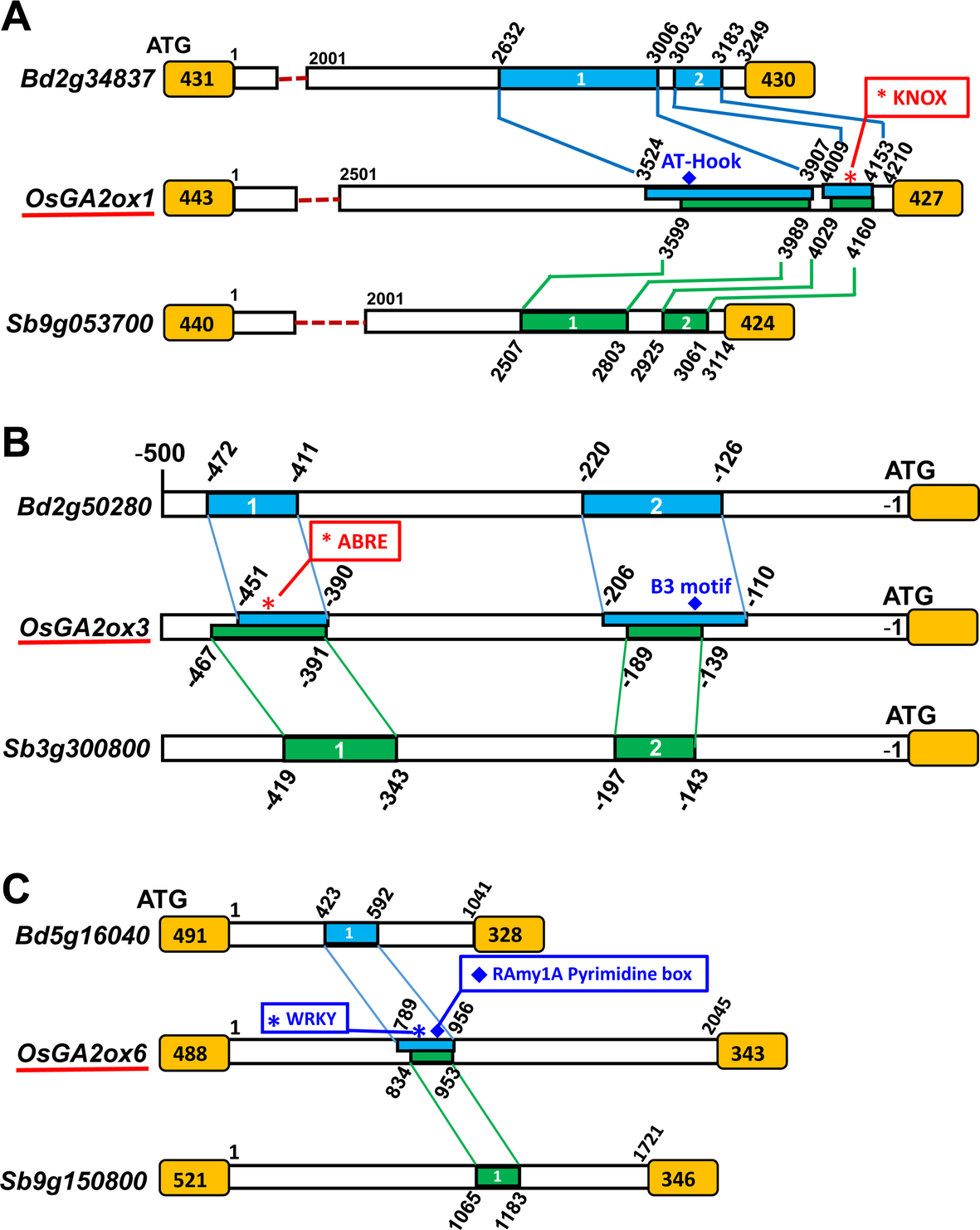 Fig. 10