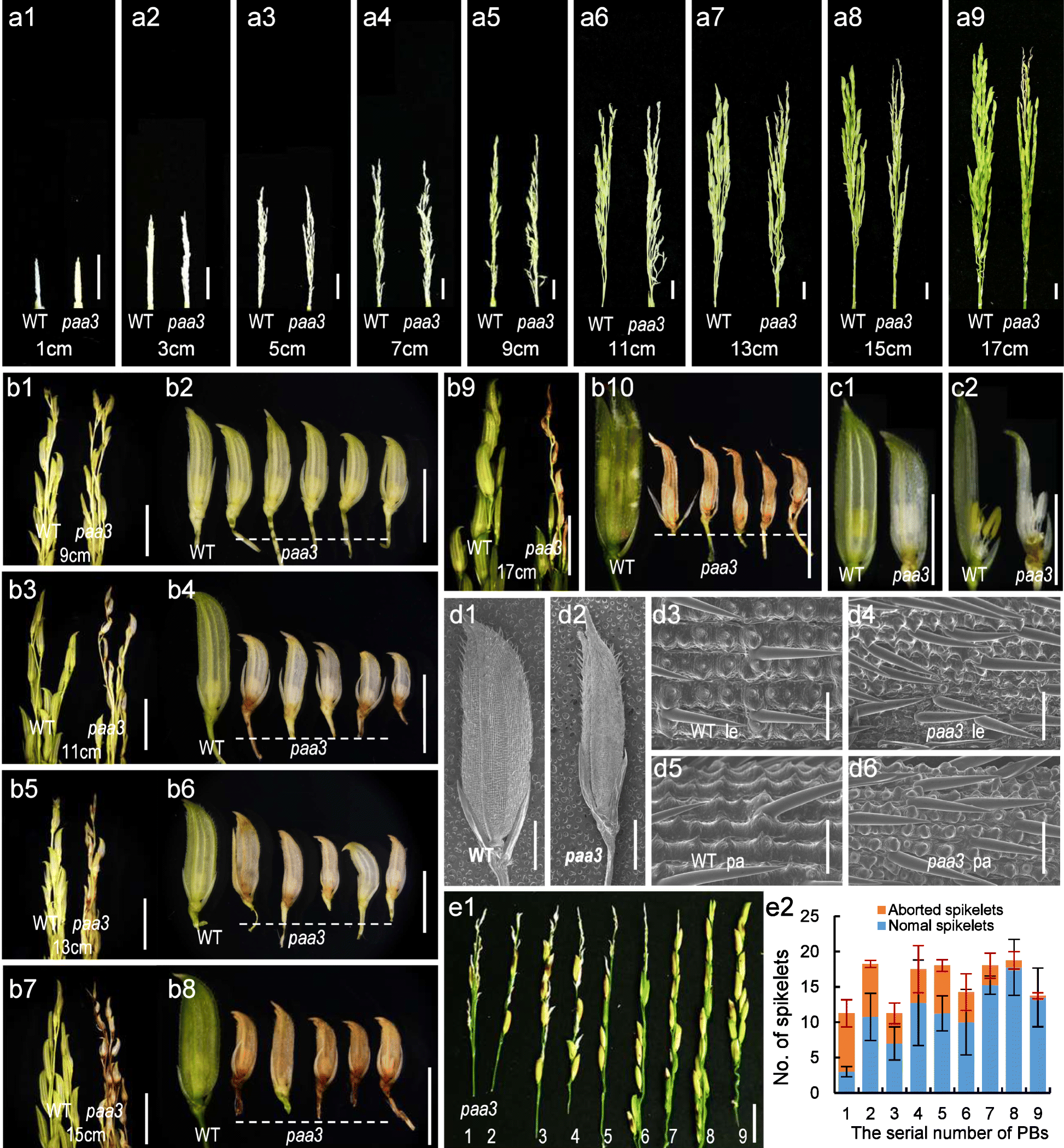 Fig. 2