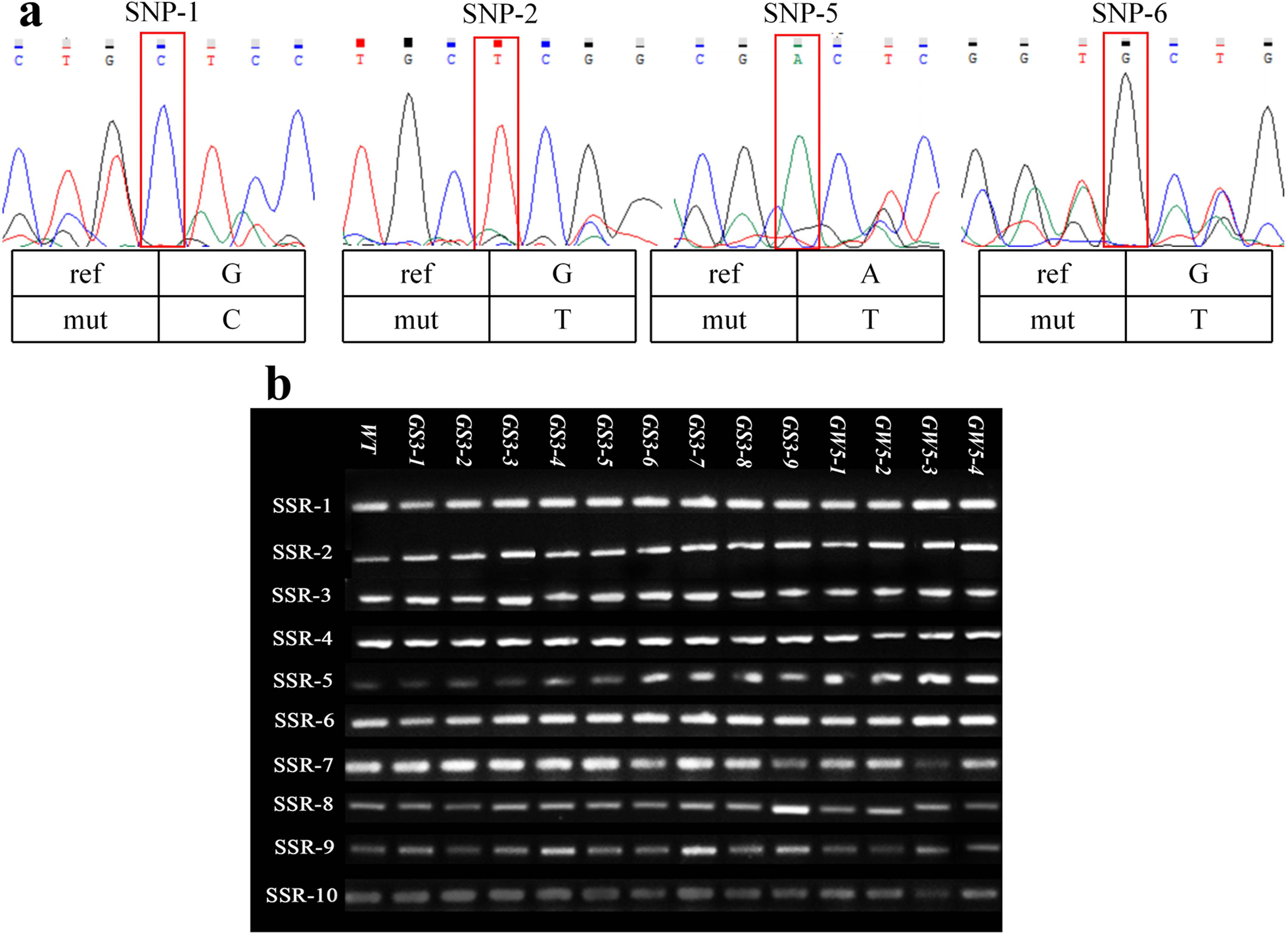 Fig. 4