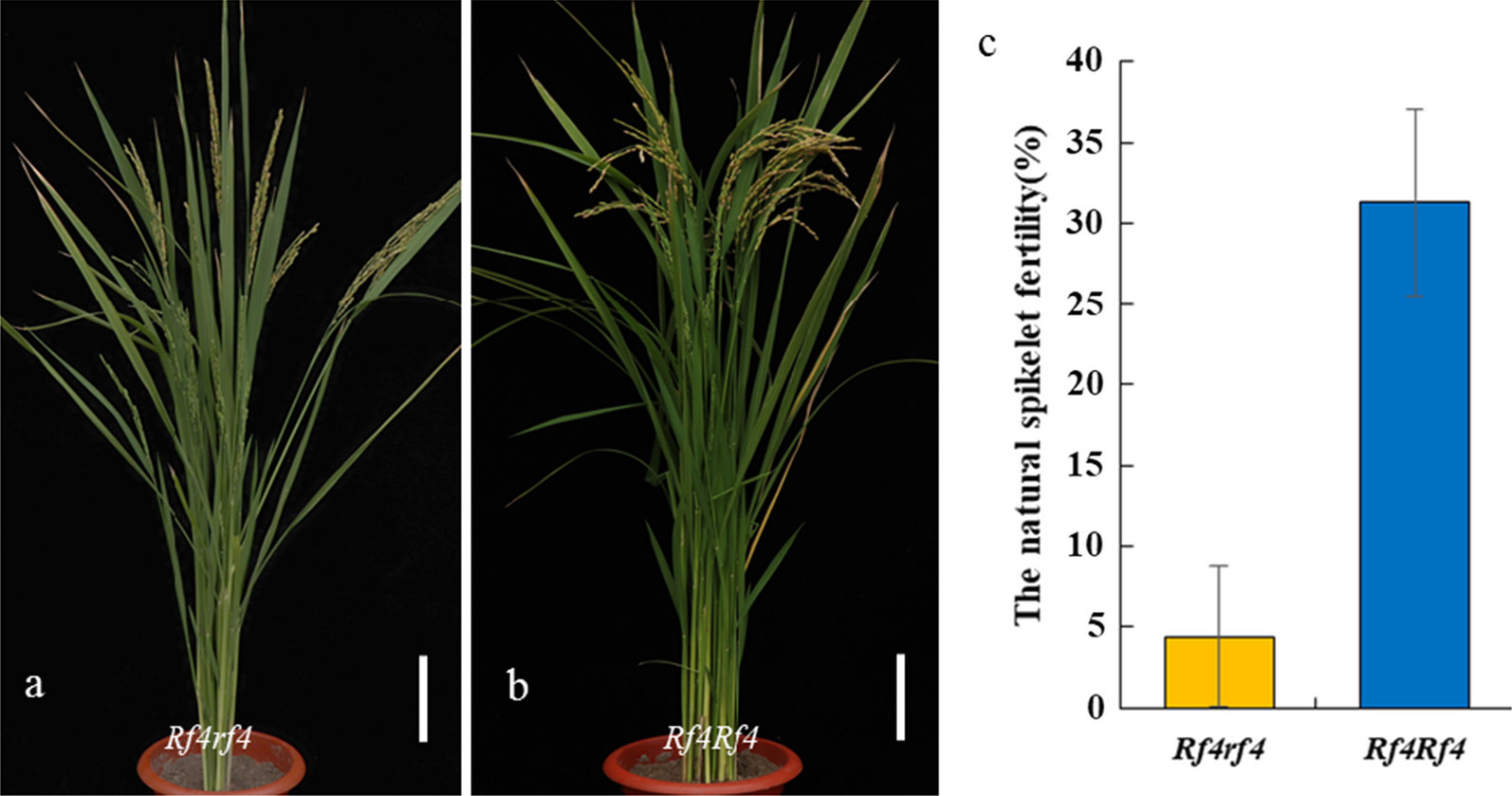 Fig. 4