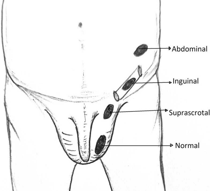 Fig. 3