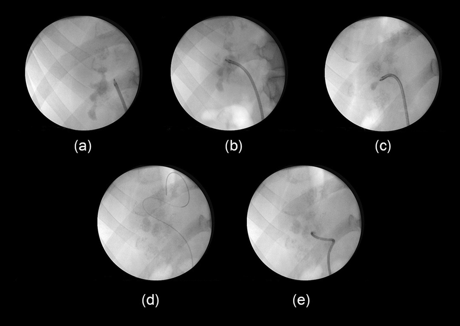 Fig. 3