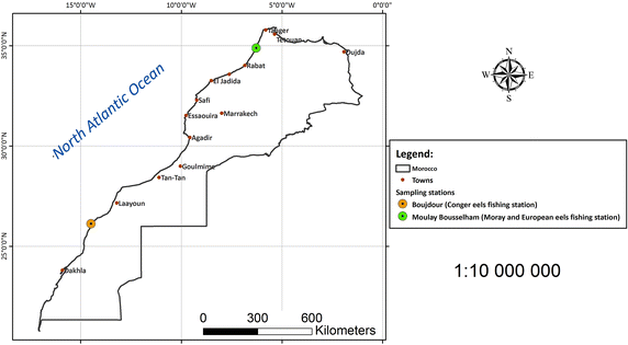 Fig. 1