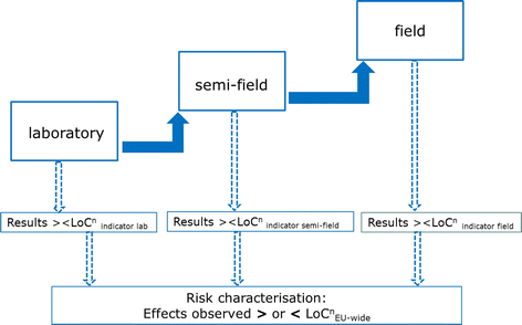 Fig. 5