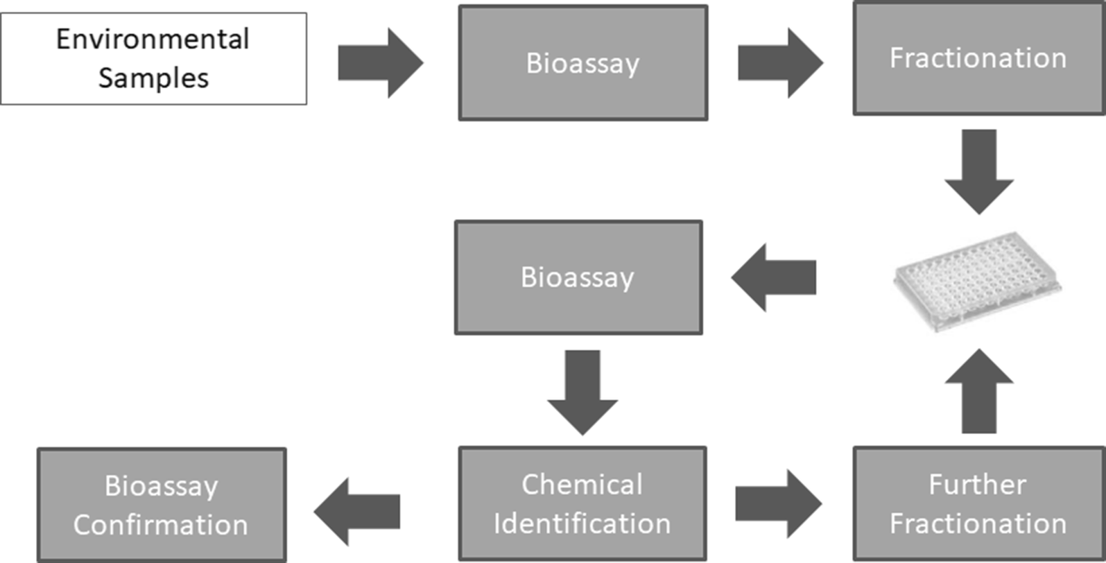 The Role Of Exposure To Neurotoxic >> An Ecotoxicological View On Neurotoxicity Assessment Environmental The Role Of Exposure To Neurotoxic >> An Ecotoxicological View On Neurotoxicity Assessment Environmental