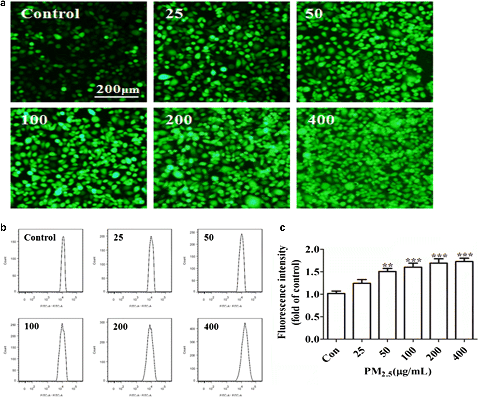 Fig. 4