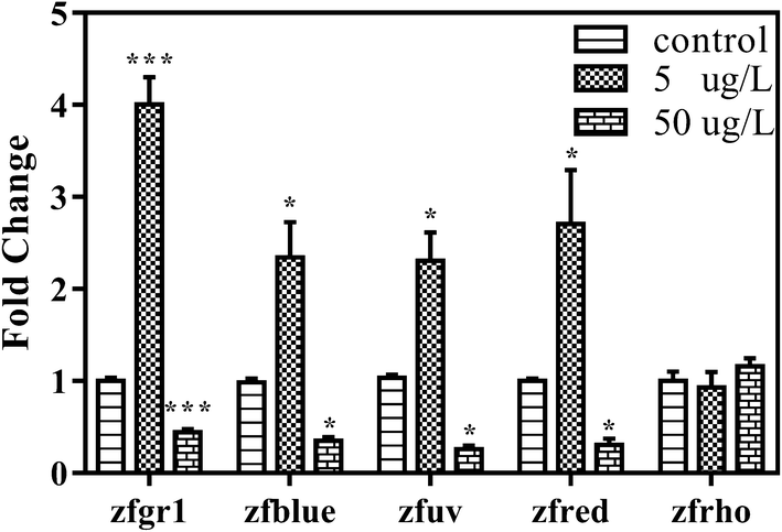 Fig. 4