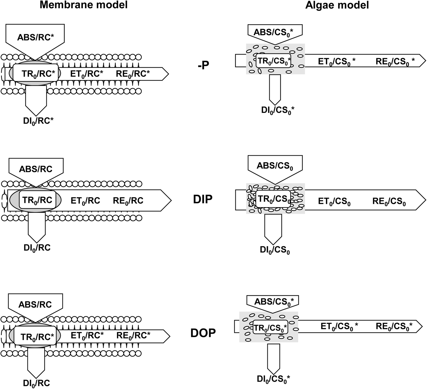 Fig. 4