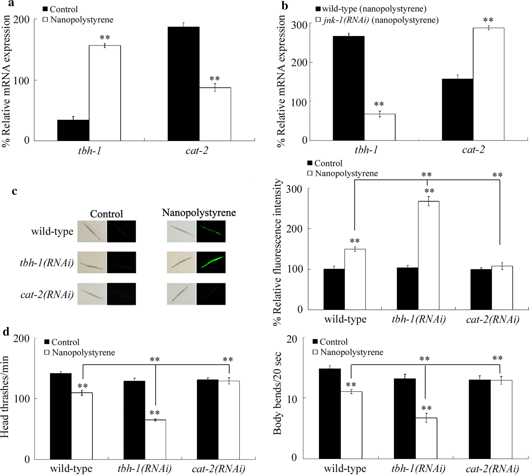 Fig. 3