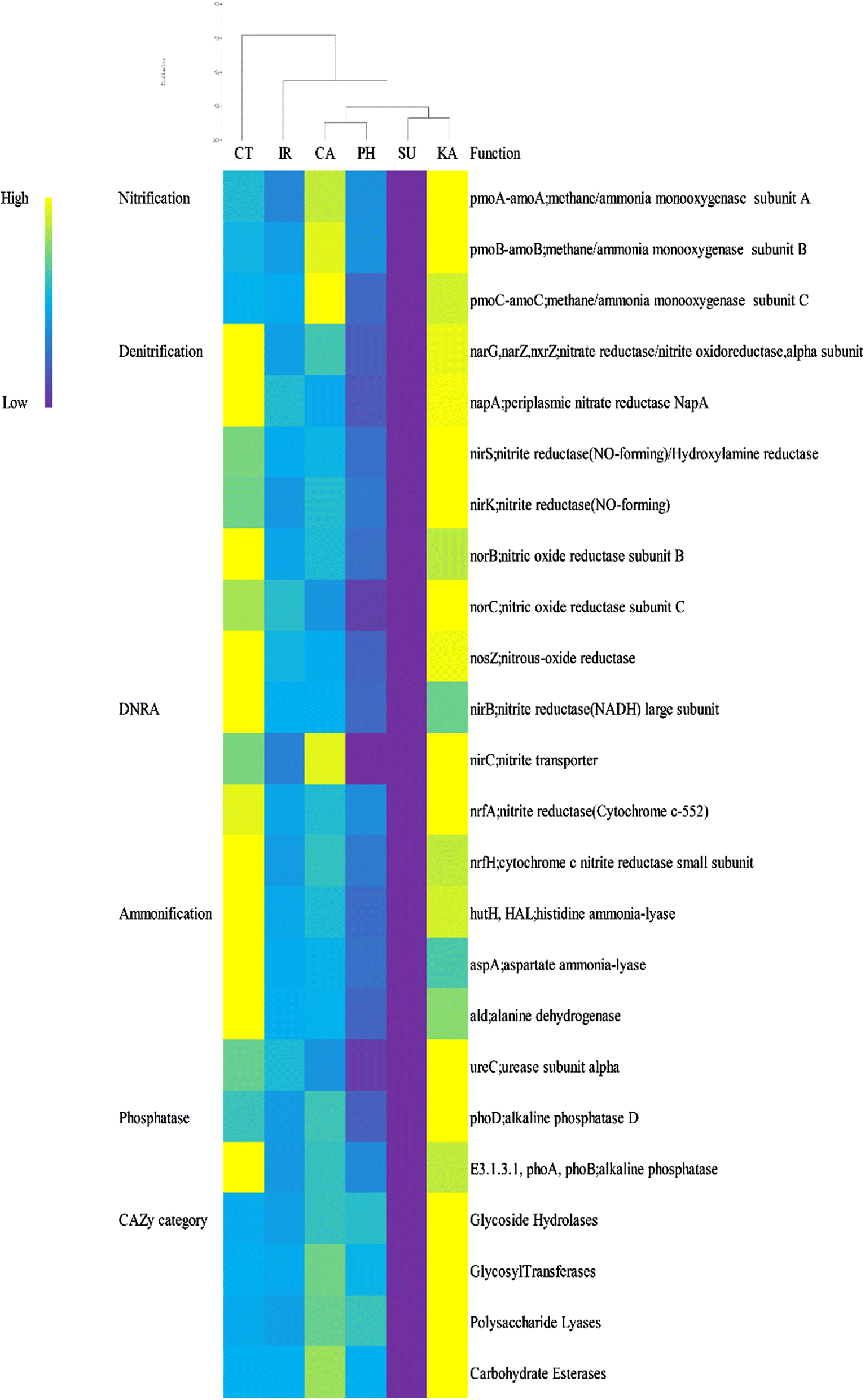 Fig. 9