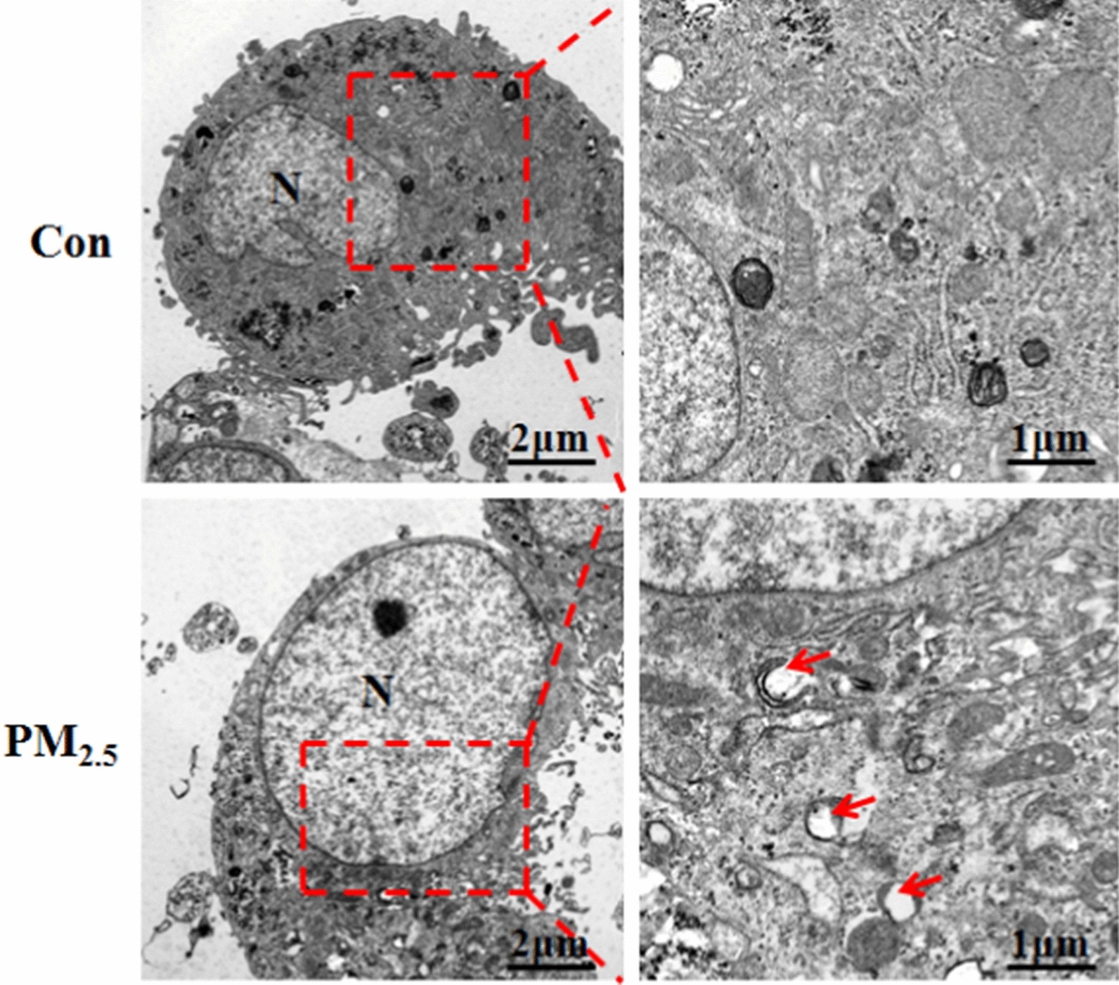 Fig. 7