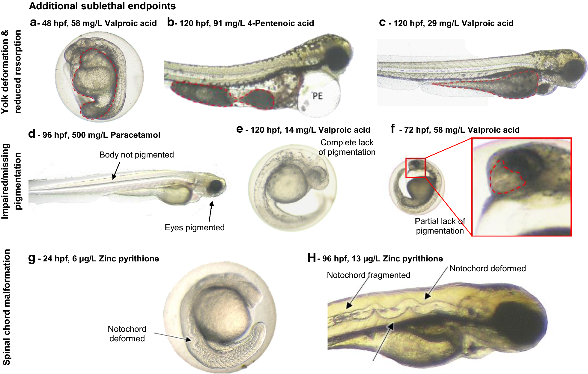 Fig. 9