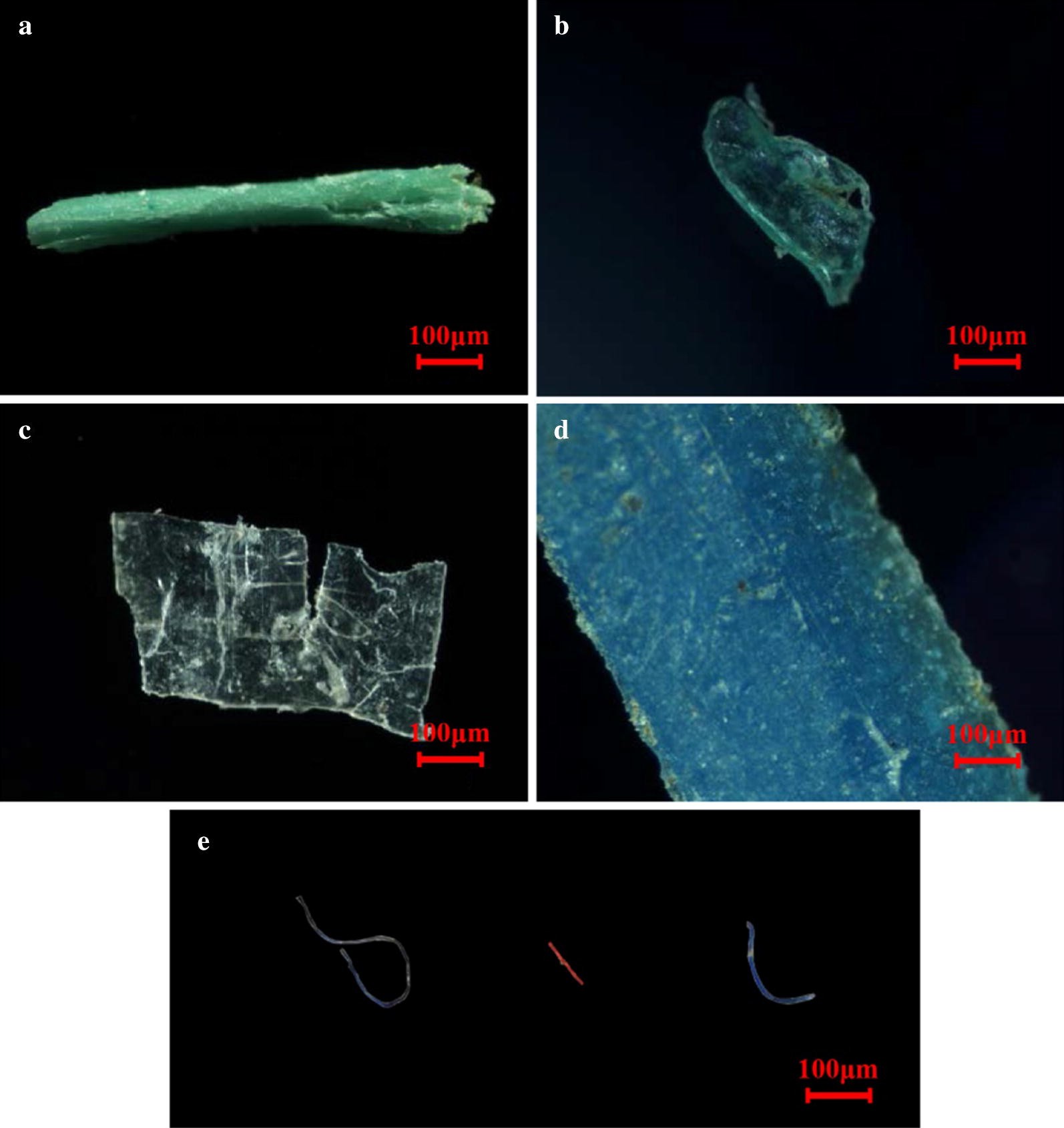 Fig. 3