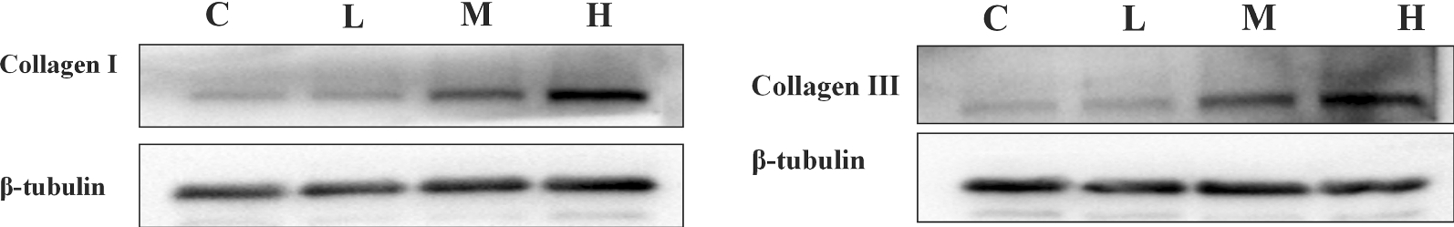 Fig. 11