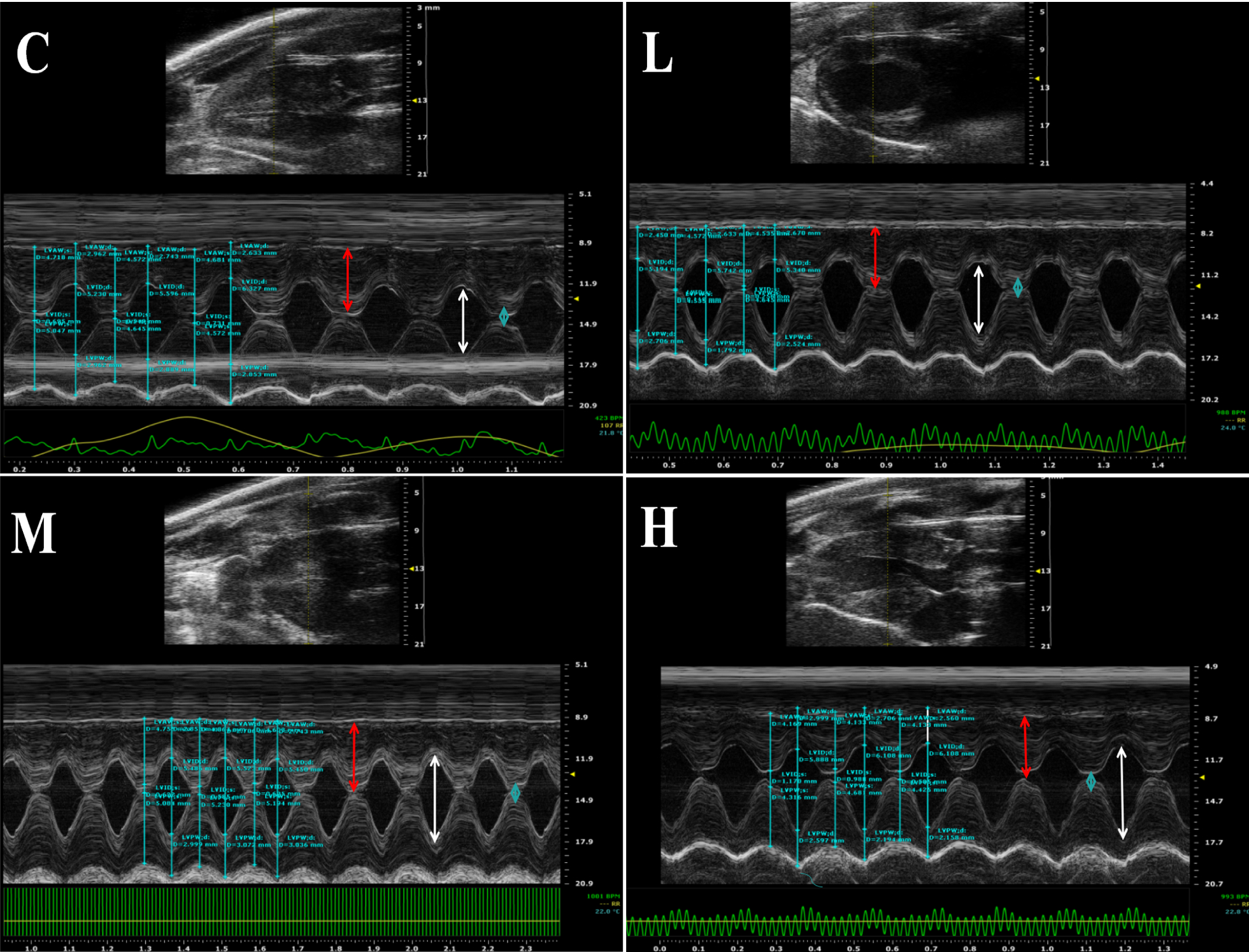 Fig. 9