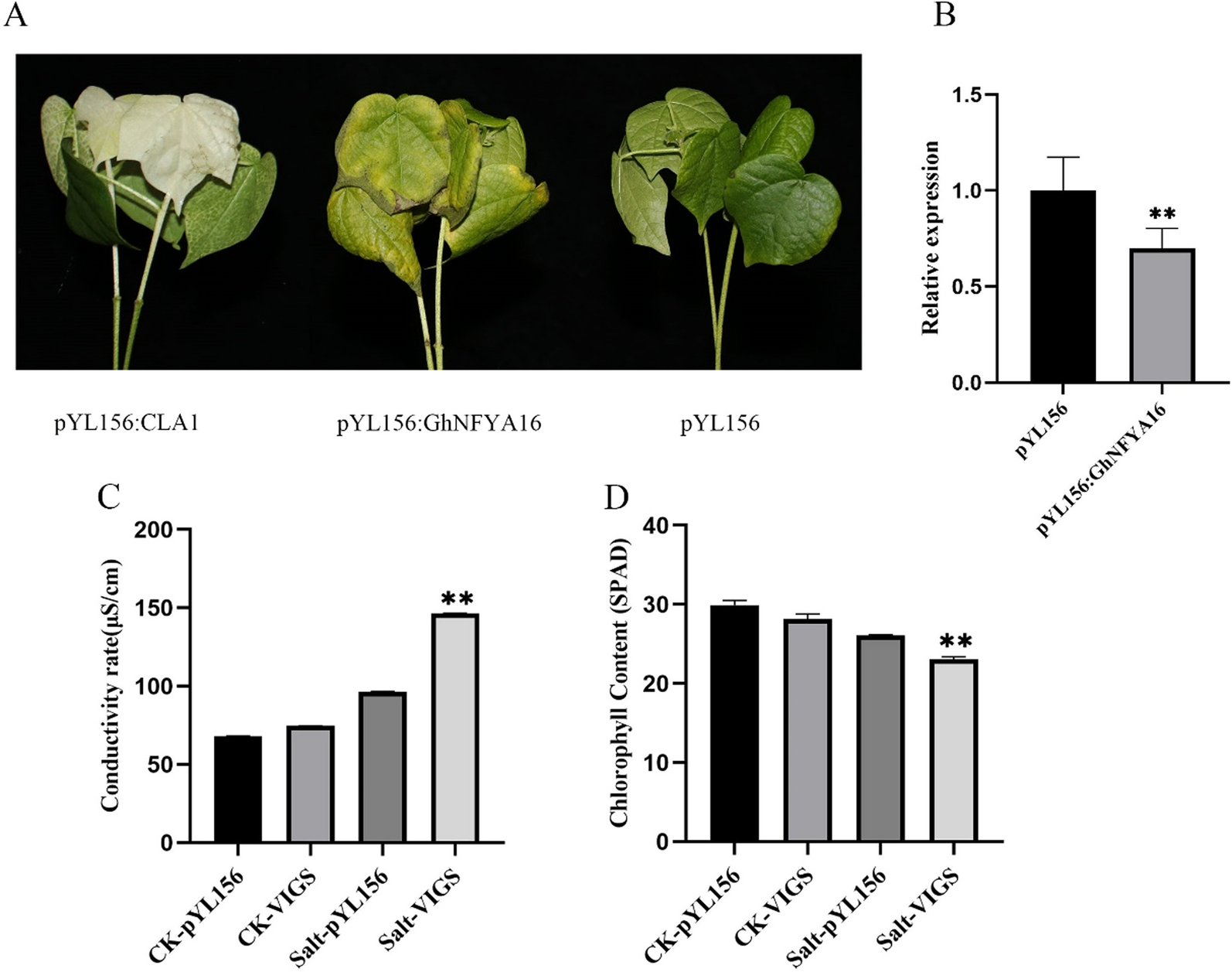 Fig. 10