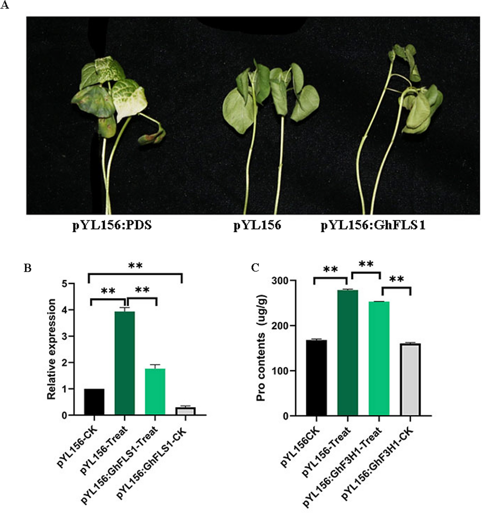 Fig. 10