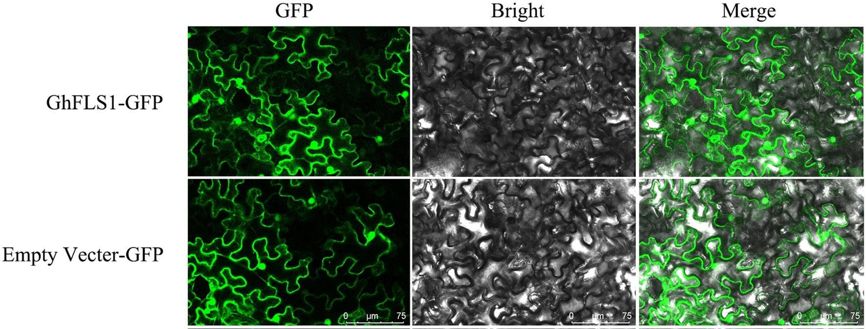 Fig. 9