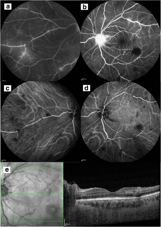 Fig. 5