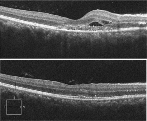 Fig. 3