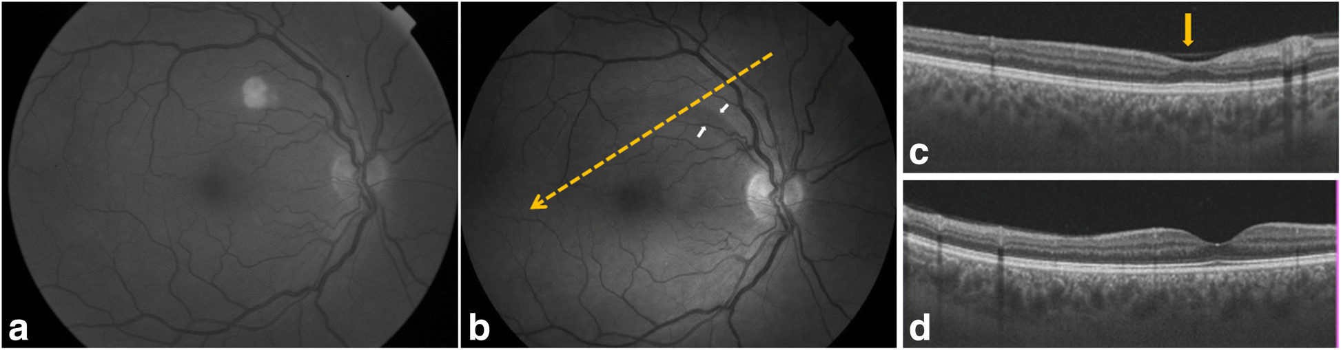 Fig. 5