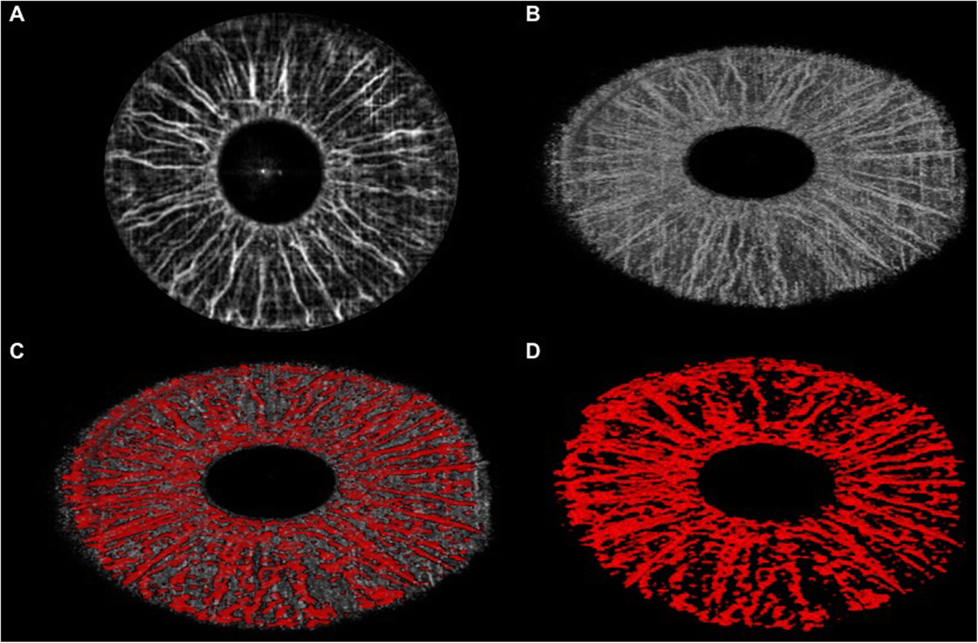 Fig. 10