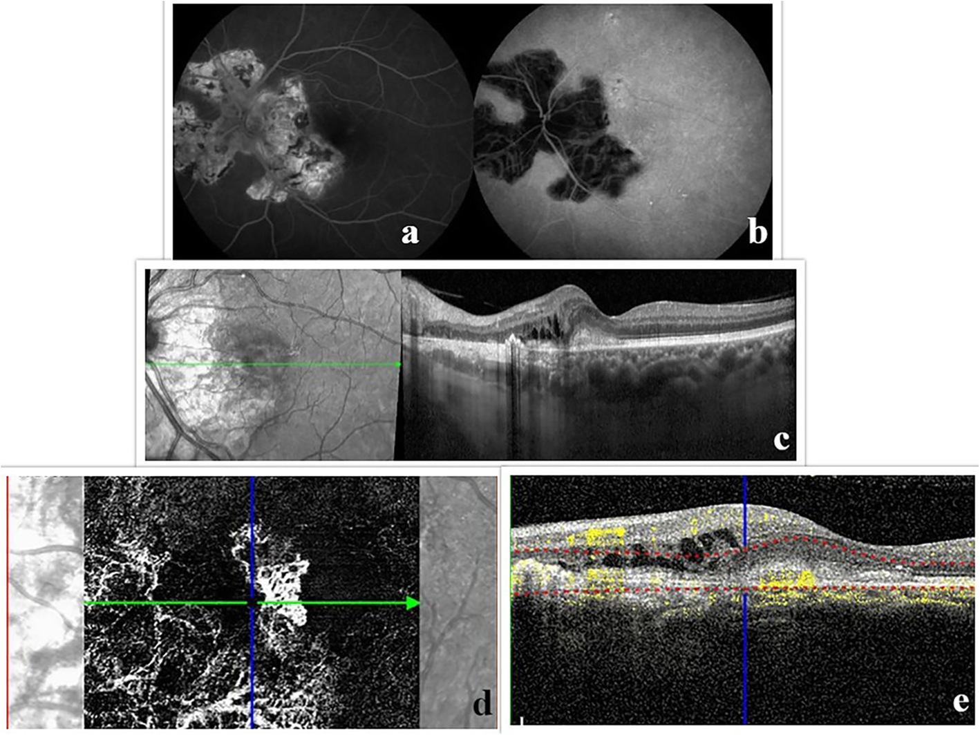 Fig. 2