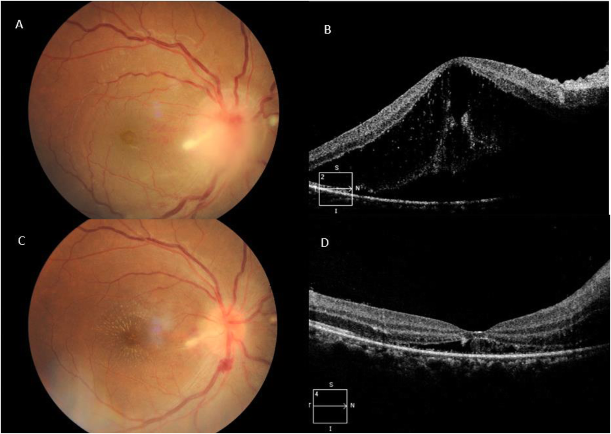 Fig. 6