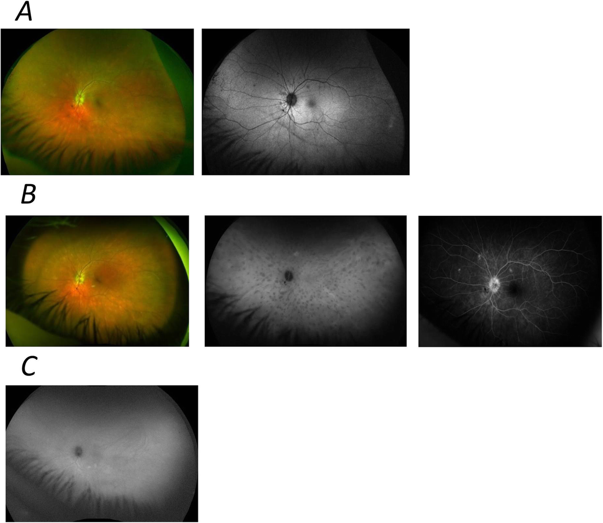 Fig. 7