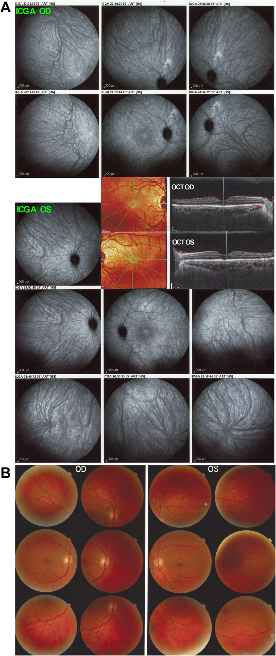 Fig. 4