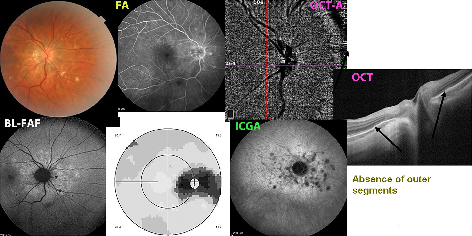 Fig. 7